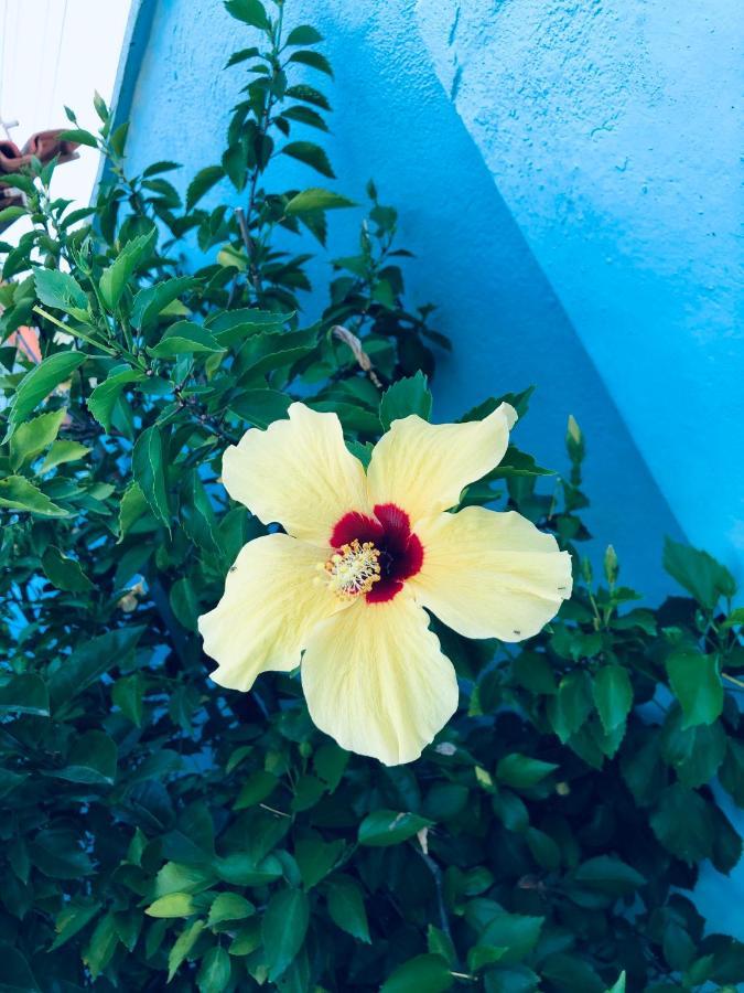 Universo Inn Porto Seguro